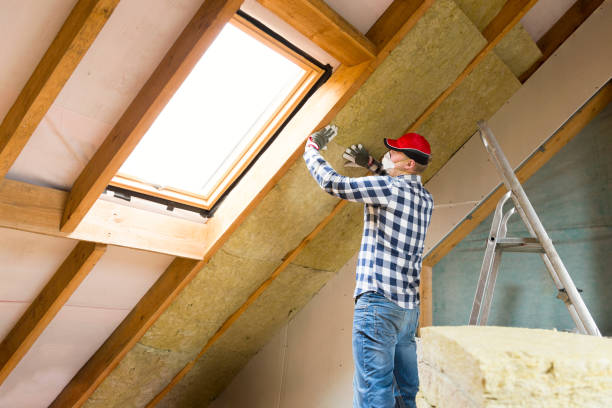 Types of Insulation We Offer in Brushy Creek, TX